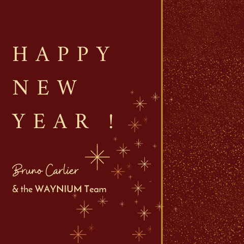 l'equioe waynium vous souhaite une bonne année
