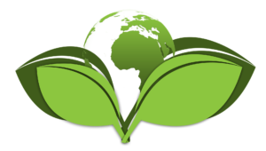 impact environnementaux du transport
